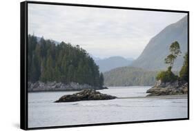 Canada, B.C, Vancouver Island. Trees and Rocks at Tonquin Beach-Kevin Oke-Framed Stretched Canvas