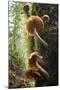 Canada, B.C, Vancouver. Large Gilled Mushrooms on a Nurselog-Kevin Oke-Mounted Photographic Print