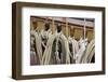 Canada, B.C, Victoria. Rigging Lines Hung Wooden Pegs on Hms Bounty-Kevin Oke-Framed Photographic Print