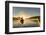 Canada, British Columbia. A kayaker paddles in morning mist on a Canadian lake.-Gary Luhm-Framed Photographic Print