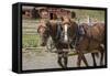 Canada, British Columbia, Cache Creek. Horses pulling stagecoach.-Jaynes Gallery-Framed Stretched Canvas