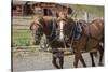 Canada, British Columbia, Cache Creek. Horses pulling stagecoach.-Jaynes Gallery-Stretched Canvas