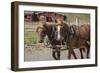 Canada, British Columbia, Cache Creek. Horses pulling stagecoach.-Jaynes Gallery-Framed Photographic Print