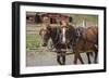 Canada, British Columbia, Cache Creek. Horses pulling stagecoach.-Jaynes Gallery-Framed Photographic Print