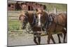 Canada, British Columbia, Cache Creek. Horses pulling stagecoach.-Jaynes Gallery-Mounted Photographic Print