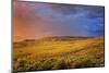 Canada, British Columbia, Cache Creek. Stormy clouds over prairie at sunrise.-Jaynes Gallery-Mounted Photographic Print
