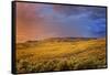 Canada, British Columbia, Cache Creek. Stormy clouds over prairie at sunrise.-Jaynes Gallery-Framed Stretched Canvas