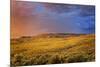 Canada, British Columbia, Cache Creek. Stormy clouds over prairie at sunrise.-Jaynes Gallery-Mounted Photographic Print