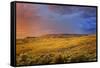 Canada, British Columbia, Cache Creek. Stormy clouds over prairie at sunrise.-Jaynes Gallery-Framed Stretched Canvas