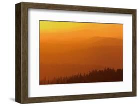 Canada, British Columbia, Carmanah-Walbran Provincial Park. Mountains and forests at sunset.-Jaynes Gallery-Framed Photographic Print