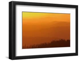 Canada, British Columbia, Carmanah-Walbran Provincial Park. Mountains and forests at sunset.-Jaynes Gallery-Framed Photographic Print