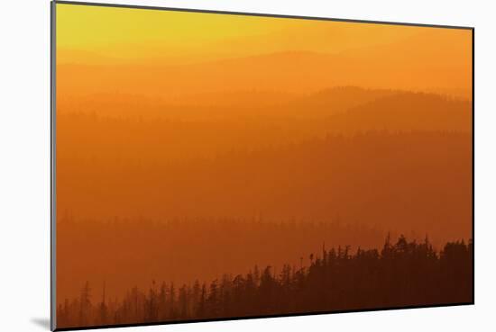 Canada, British Columbia, Carmanah-Walbran Provincial Park. Mountains and forests at sunset.-Jaynes Gallery-Mounted Photographic Print