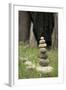 Canada, British Columbia, Cowichan Valley. Balanced Rocks at a Lavender Farm-Kevin Oke-Framed Photographic Print