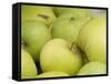 Canada, British Columbia, Cowichan Valley. Close-Up of Green Apples-Kevin Oke-Framed Stretched Canvas