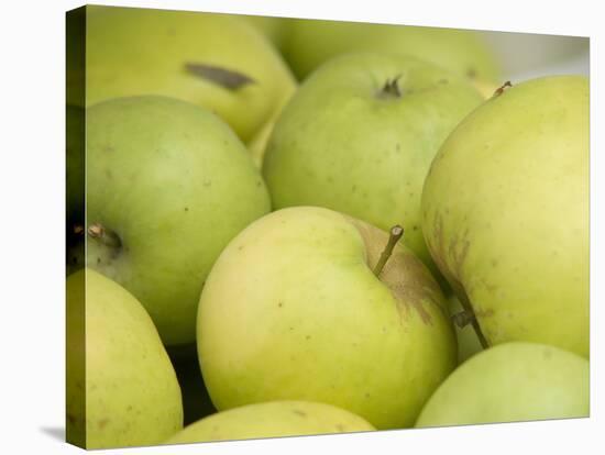 Canada, British Columbia, Cowichan Valley. Close-Up of Green Apples-Kevin Oke-Stretched Canvas