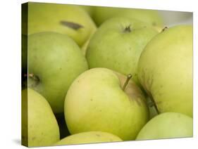 Canada, British Columbia, Cowichan Valley. Close-Up of Green Apples-Kevin Oke-Stretched Canvas