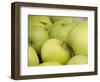 Canada, British Columbia, Cowichan Valley. Close-Up of Green Apples-Kevin Oke-Framed Photographic Print