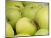 Canada, British Columbia, Cowichan Valley. Close-Up of Green Apples-Kevin Oke-Mounted Photographic Print