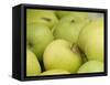 Canada, British Columbia, Cowichan Valley. Close-Up of Green Apples-Kevin Oke-Framed Stretched Canvas