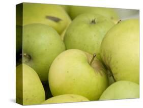 Canada, British Columbia, Cowichan Valley. Close-Up of Green Apples-Kevin Oke-Stretched Canvas