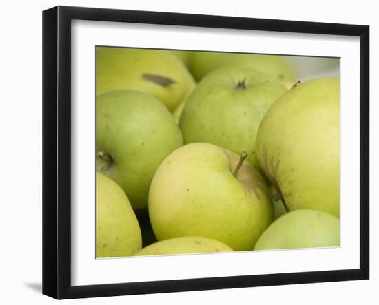 Canada, British Columbia, Cowichan Valley. Close-Up of Green Apples-Kevin Oke-Framed Photographic Print