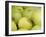 Canada, British Columbia, Cowichan Valley. Close-Up of Green Apples-Kevin Oke-Framed Photographic Print