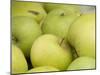 Canada, British Columbia, Cowichan Valley. Close-Up of Green Apples-Kevin Oke-Mounted Photographic Print