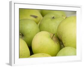 Canada, British Columbia, Cowichan Valley. Close-Up of Green Apples-Kevin Oke-Framed Photographic Print