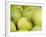 Canada, British Columbia, Cowichan Valley. Close-Up of Green Apples-Kevin Oke-Framed Photographic Print