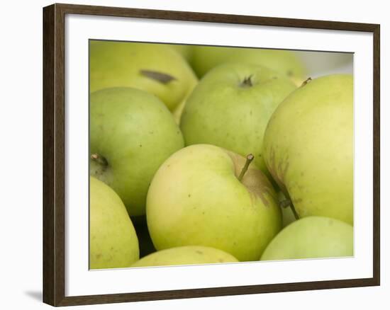 Canada, British Columbia, Cowichan Valley. Close-Up of Green Apples-Kevin Oke-Framed Photographic Print