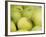 Canada, British Columbia, Cowichan Valley. Close-Up of Green Apples-Kevin Oke-Framed Photographic Print