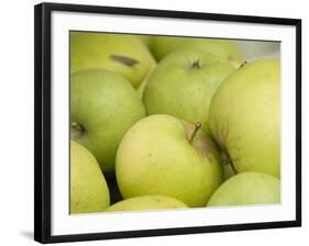 Canada, British Columbia, Cowichan Valley. Close-Up of Green Apples-Kevin Oke-Framed Photographic Print