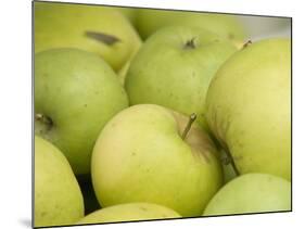 Canada, British Columbia, Cowichan Valley. Close-Up of Green Apples-Kevin Oke-Mounted Photographic Print