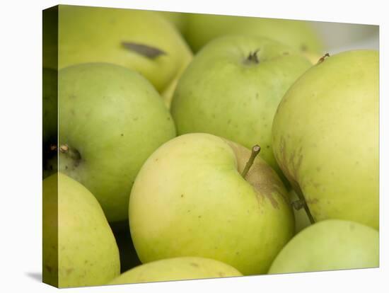 Canada, British Columbia, Cowichan Valley. Close-Up of Green Apples-Kevin Oke-Stretched Canvas