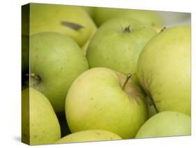 Canada, British Columbia, Cowichan Valley. Close-Up of Green Apples-Kevin Oke-Stretched Canvas