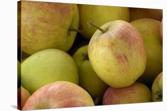 Canada, British Columbia, Cowichan Valley. Close-Up of Red and Green Apples-Kevin Oke-Stretched Canvas