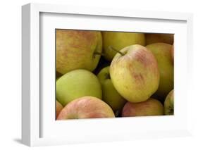 Canada, British Columbia, Cowichan Valley. Close-Up of Red and Green Apples-Kevin Oke-Framed Photographic Print