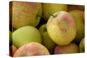 Canada, British Columbia, Cowichan Valley. Close-Up of Red and Green Apples-Kevin Oke-Stretched Canvas