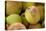 Canada, British Columbia, Cowichan Valley. Close-Up of Red and Green Apples-Kevin Oke-Stretched Canvas