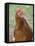 Canada, British Columbia, Cowichan Valley. Close-Up Photo of a Hen-Kevin Oke-Framed Stretched Canvas