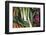 Canada, British Columbia, Cowichan Valley, Duncan. Leeks, Carrots and Beets at a Farmers Market-Kevin Oke-Framed Photographic Print