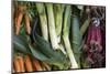 Canada, British Columbia, Cowichan Valley, Duncan. Leeks, Carrots and Beets at a Farmers Market-Kevin Oke-Mounted Photographic Print