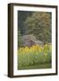Canada, British Columbia, Cowichan Valley. Row of Sunflowers and Old Red Barn-Kevin Oke-Framed Photographic Print