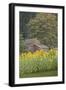 Canada, British Columbia, Cowichan Valley. Row of Sunflowers and Old Red Barn-Kevin Oke-Framed Photographic Print