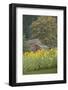 Canada, British Columbia, Cowichan Valley. Row of Sunflowers and Old Red Barn-Kevin Oke-Framed Photographic Print