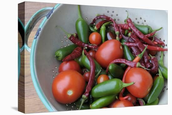 Canada, British Columbia, Cowichan Valley. Tomatoes and Hot Peppers in a Colander-Kevin Oke-Stretched Canvas