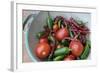 Canada, British Columbia, Cowichan Valley. Tomatoes and Hot Peppers in a Colander-Kevin Oke-Framed Photographic Print