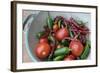 Canada, British Columbia, Cowichan Valley. Tomatoes and Hot Peppers in a Colander-Kevin Oke-Framed Photographic Print