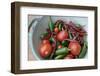 Canada, British Columbia, Cowichan Valley. Tomatoes and Hot Peppers in a Colander-Kevin Oke-Framed Photographic Print