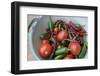 Canada, British Columbia, Cowichan Valley. Tomatoes and Hot Peppers in a Colander-Kevin Oke-Framed Photographic Print